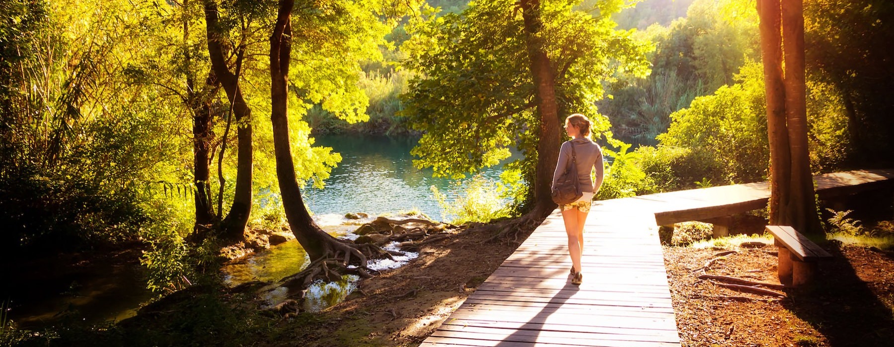a person walking on a path in a forest